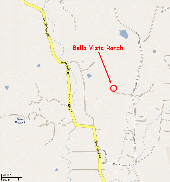 Map and Satellite Images